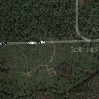 Magnolia Road, New Smyrna Beach, FL 32168