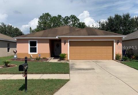 11215 Running Pine Dr, Riverview, FL 33569 photo 1