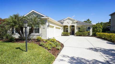 16508 Rivers Reach Blvd, Parrish, FL 34219 photo 1