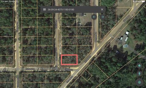 100 David Ave, Interlachen, FL 32148 photo 1