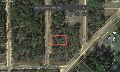 104 David Ave, Interlachen, FL 32148 photo 1