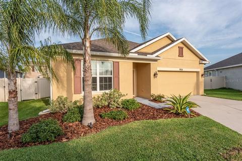 11926 Greenchop Pl, Riverview, FL 33579 photo 1