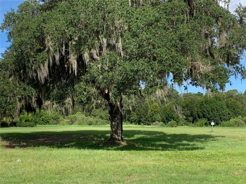 4052 Founders Clb Dr  