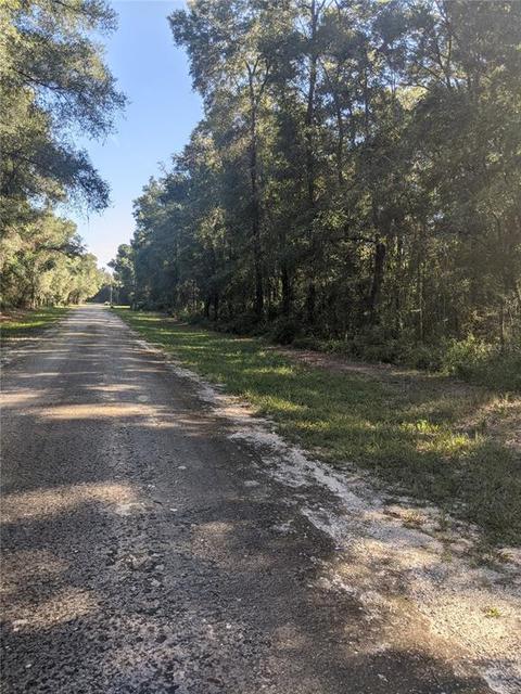 6332 Nile Ave, Webster, FL 33597 photo 1