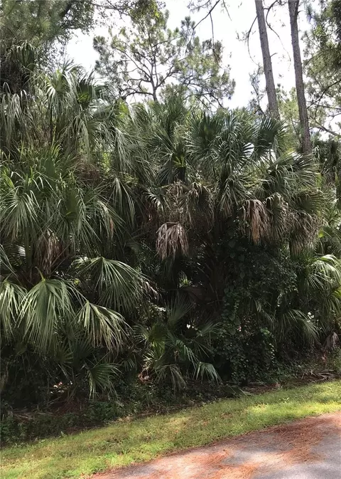 Rohrer Street, North Port, FL 34286