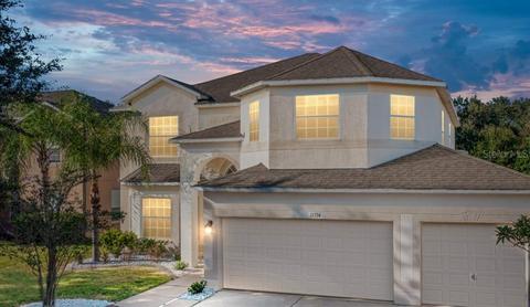 11334 Callaway Pond Dr, Riverview, FL 33579 photo 1