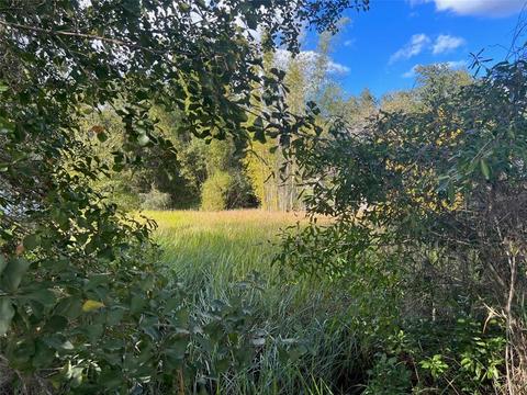 15519 Us 301 N, Parrish, FL 34219 photo 1