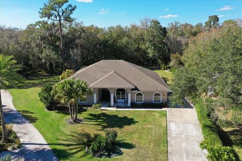 11751 Laurel Oak Ln, Parrish, FL 34219 photo 1