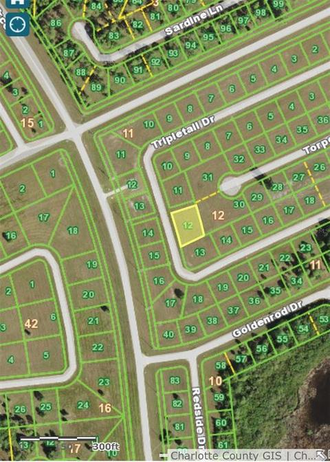 12336 Tripletail Dr, Placida, FL 33946 photo 1