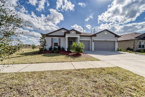 11691 Brighton Knoll Loop, Riverview, FL 33579 photo 1