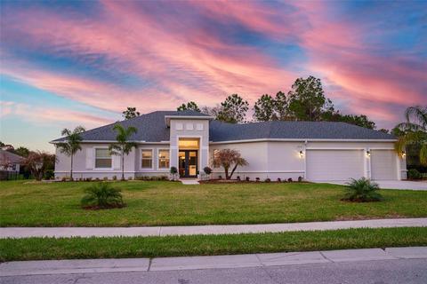 16318 Mulholland Rd, Parrish, FL 34219 photo 1