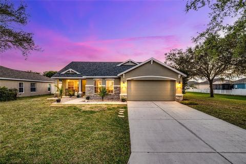 11507 Summit Rock Ct, Parrish, FL 34219 photo 1