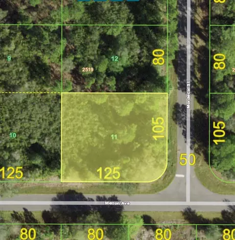 115 Mordecal St, Port Charlotte, FL 33953