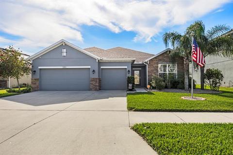 11911 Tetrafin Dr, Riverview, FL 33579 photo 1