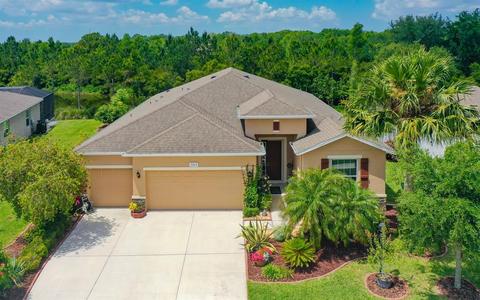 2815 130th Ave E, Parrish, FL 34219 photo 1