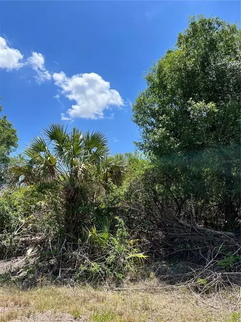 Longan Court, North Port, FL 34288