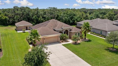 16312 26th St E, Parrish, FL 34219 photo 1