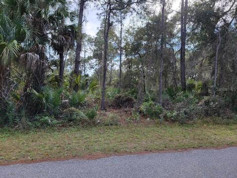 Armenia Road, North Port, FL 34286