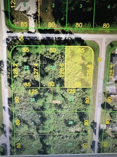 12053 Keller Ave, Port Charlotte, FL 33981