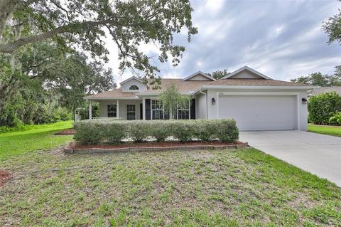 4116 Douglas Hill Pl, Parrish, FL 34219 photo 1