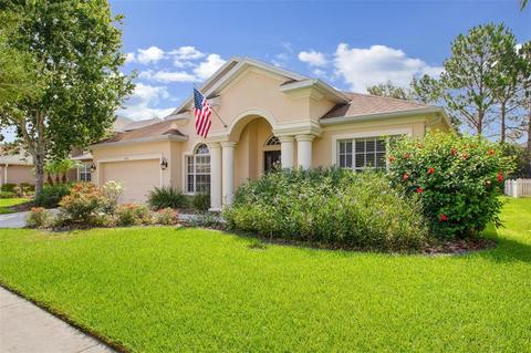 3509 Hickory Hammock Loop, Wesley Chapel, FL 33544 photo 1