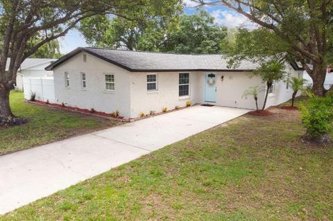801 Walnut Dr, Seffner, FL 33584 photo 1