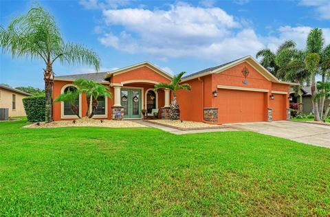 316 Star Shell Dr, Apollo Beach, FL 33572 photo 1