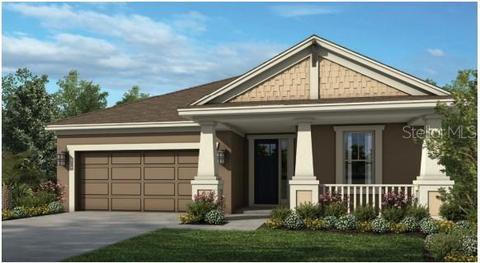 12794 Serene Bocage Pl, Riverview, FL 33569 photo 1