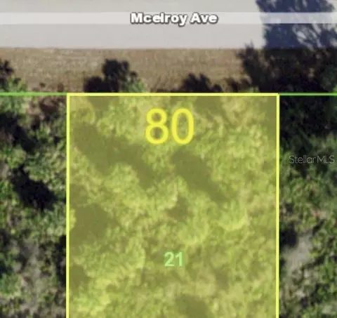 12173 Mcelroy Ave, Port Charlotte, FL 33981