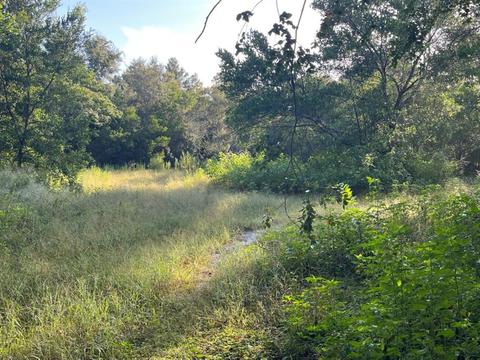 14801 Garson Loop, Spring Hill, FL 34610 photo 1
