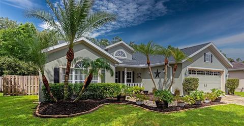 11749 Shirburn Cir, Parrish, FL 34219 photo 1