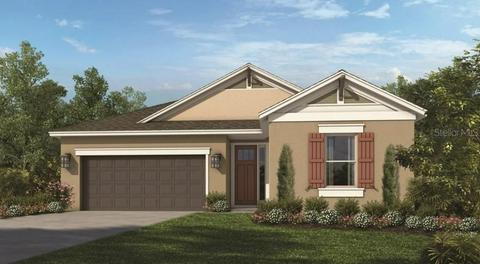 10580 Tranquil Meadow Loop, Riverview, FL 33569 photo 1