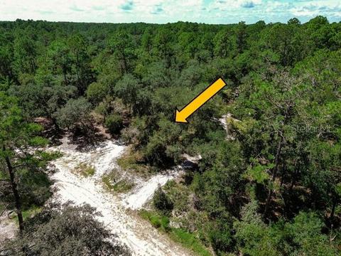 107 Juniper Rd, Georgetown, FL 32139 photo 1