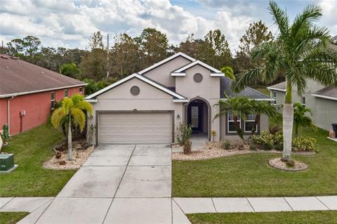 11041 77th St E, Parrish, FL 34219 photo 1
