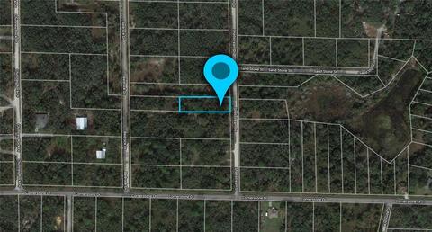 8159 Shellstream Dr, Webster, FL 33597 photo 1