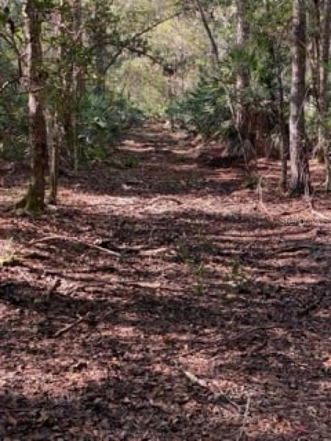 Jungle Road, Geneva, FL 32732