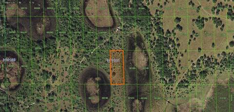 Grape Hammock Road, Lake Wales, FL 33898