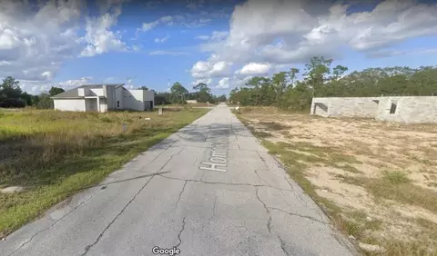 1337 Homosassa Dr, Poinciana, FL 34759