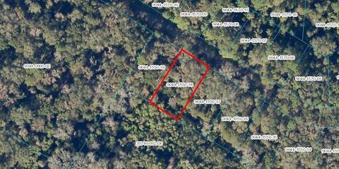 Sequoia Loop Drive, Ocklawaha, FL 32179