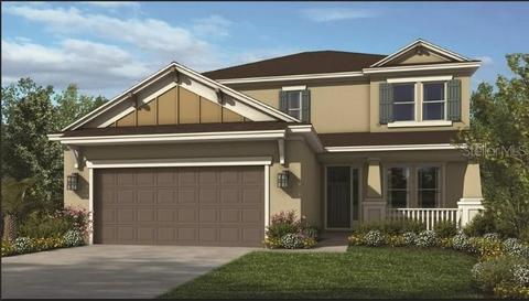 10559 Tranquil Meadow Loop, Riverview, FL 33569 photo 1