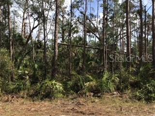Ripley Street, North Port, FL 34286