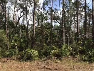 Lolly Road, North Port, FL 34286