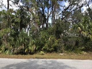Lagrange Avenue, North Port, FL 34286