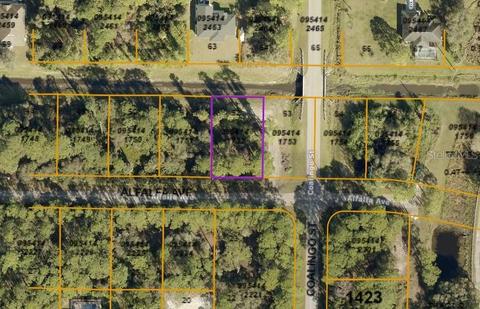 Alfalfa Avenue, North Port, FL 34291