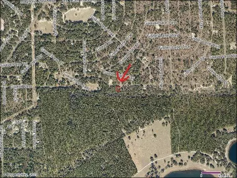 Guava Pass, Weirsdale, FL 32195