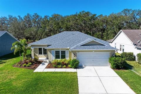 4005 Douglas Hill Pl, Parrish, FL 34219 photo 1