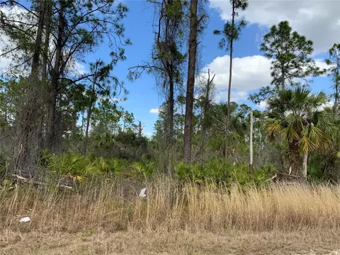 4219 E 30th St, Alva, FL 33920 photo 5
