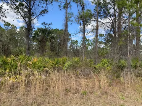 4219 E 30th St, Alva, FL 33920 photo 8