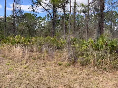 4219 E 30th St, Alva, FL 33920 photo 7