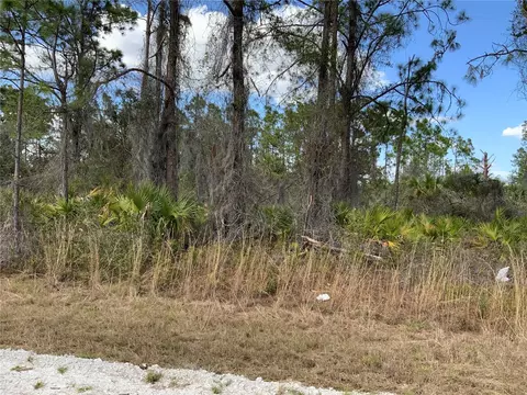 4219 E 30th St, Alva, FL 33920 photo 6
